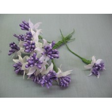 Сложные тычинки (добавки)  белый с сиреневым. 